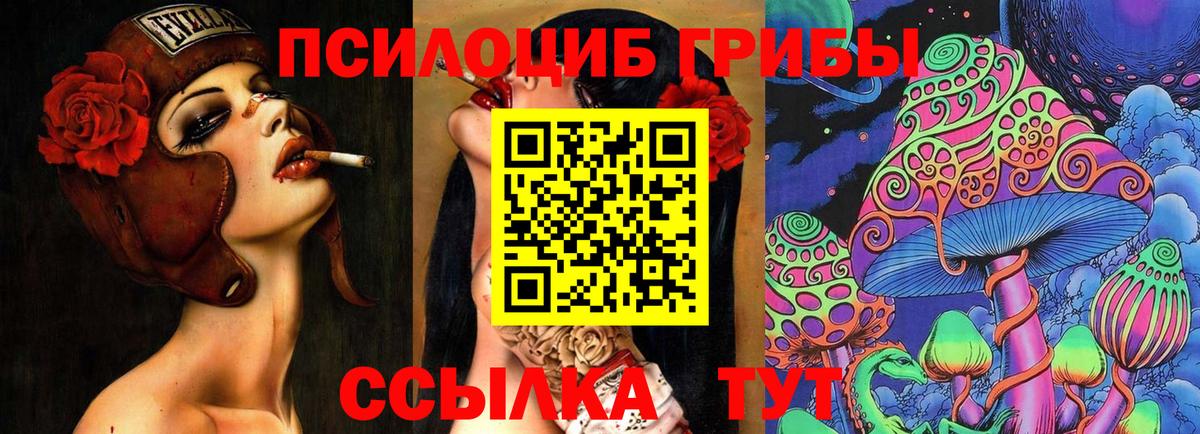 Новотроицк  Псилоцибиновые грибы GOLDEN TEACHER  Вход с VPN 